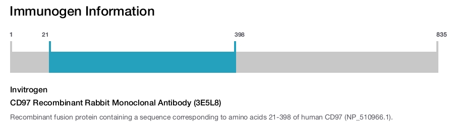 CD97 Recombinant Rabbit Monoclonal Antibody (3E5L8)