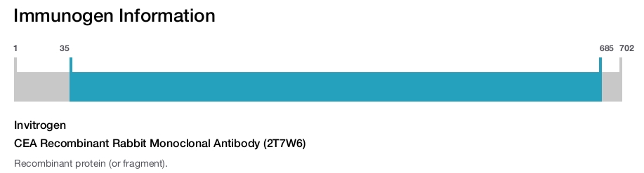 CEA Recombinant Rabbit Monoclonal Antibody (2T7W6)