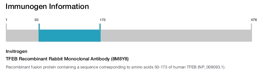 TFEB Recombinant Rabbit Monoclonal Antibody (8M8Y8)