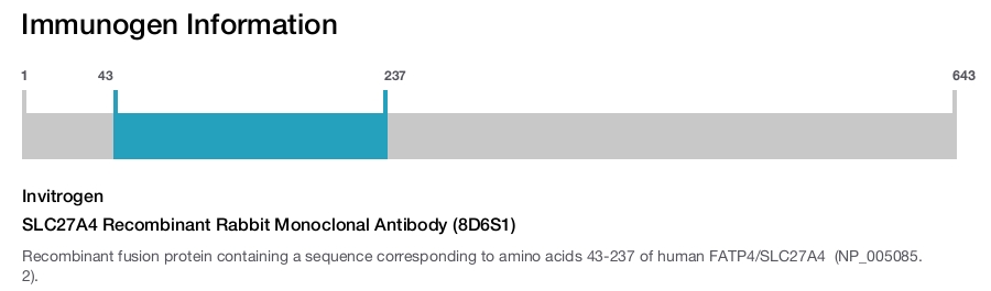 SLC27A4 Recombinant Rabbit Monoclonal Antibody (8D6S1)