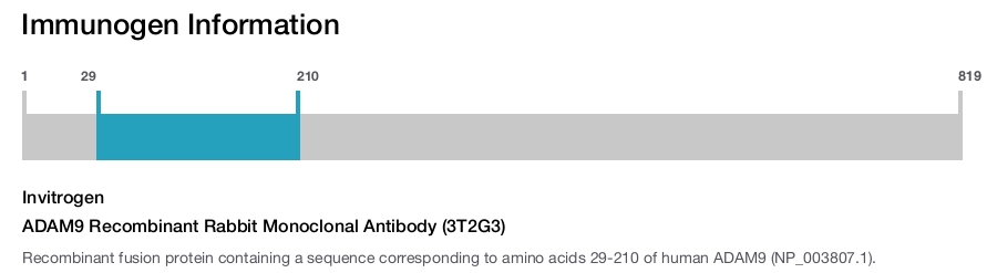 ADAM9 Recombinant Rabbit Monoclonal Antibody (3T2G3)