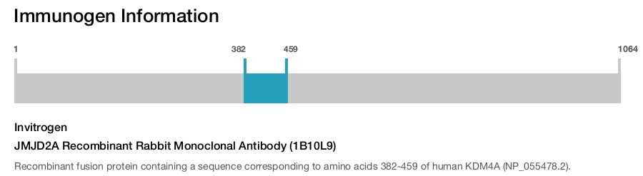 JMJD2A Recombinant Rabbit Monoclonal Antibody (1B10L9)