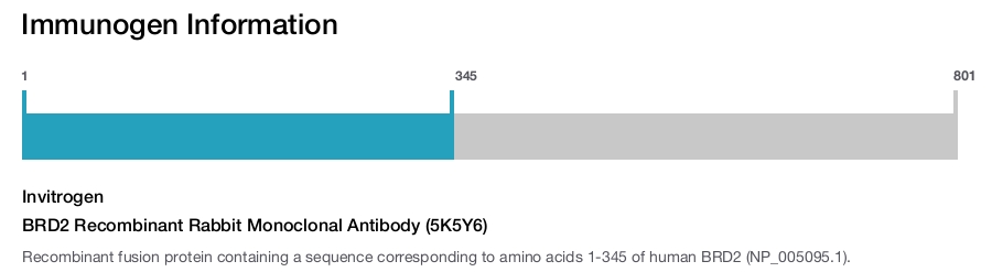 BRD2 Recombinant Rabbit Monoclonal Antibody (5K5Y6)