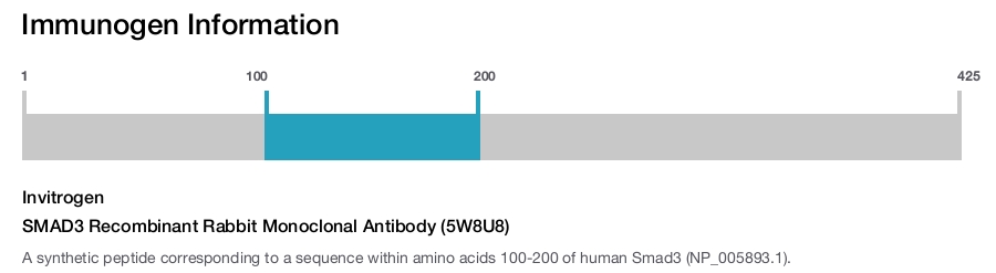 SMAD3 Recombinant Rabbit Monoclonal Antibody (5W8U8)