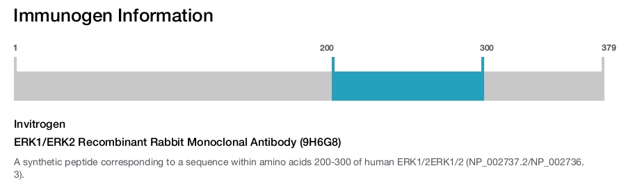 ERK1/ERK2 Recombinant Rabbit Monoclonal Antibody (9H6G8)