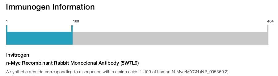 n-Myc Recombinant Rabbit Monoclonal Antibody (5W7L9)