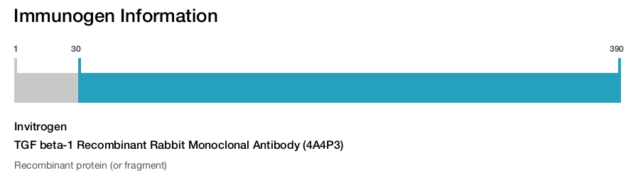 TGF beta-1 Recombinant Rabbit Monoclonal Antibody (4A4P3)