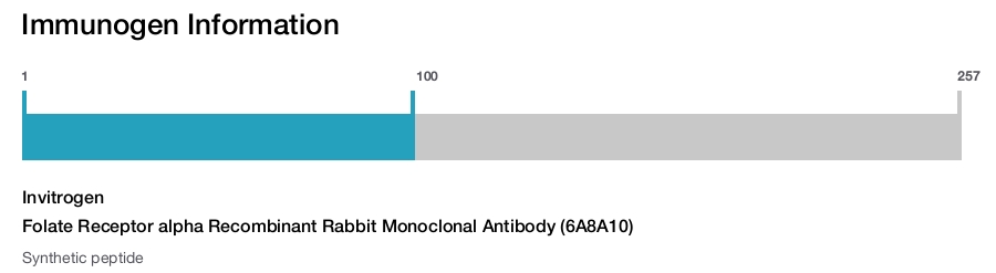 Folate Receptor alpha Recombinant Rabbit Monoclonal Antibody (6A8A10)