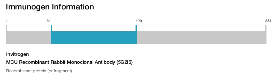 MCU Recombinant Rabbit Monoclonal Antibody (5G2I5)