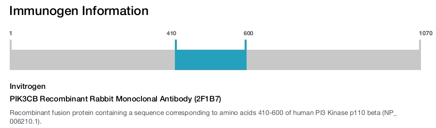 PIK3CB Recombinant Rabbit Monoclonal Antibody (2F1B7)