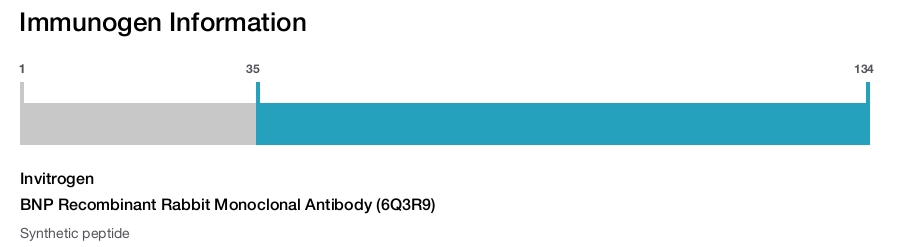 BNP Recombinant Rabbit Monoclonal Antibody (6Q3R9)