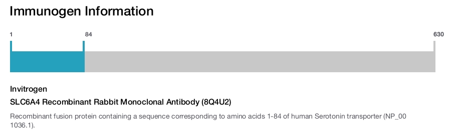 SLC6A4 Recombinant Rabbit Monoclonal Antibody (8Q4U2)