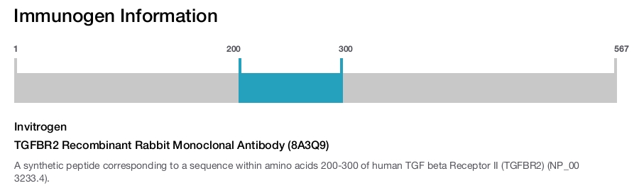 TGFBR2 Recombinant Rabbit Monoclonal Antibody (8A3Q9)