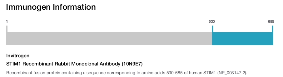 STIM1 Recombinant Rabbit Monoclonal Antibody (10N9E7)