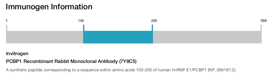 PCBP1 Recombinant Rabbit Monoclonal Antibody (7Y8C5)