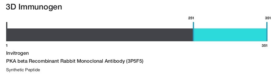 PKA beta Recombinant Rabbit Monoclonal Antibody (3P5F5)