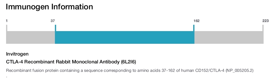 CTLA-4 Recombinant Rabbit Monoclonal Antibody (6L2I6)