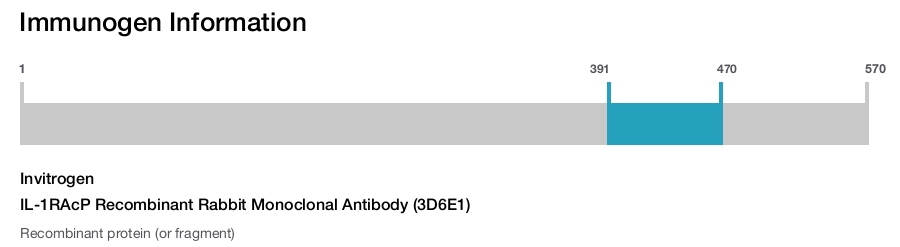IL-1RAcP Recombinant Rabbit Monoclonal Antibody (3D6E1)