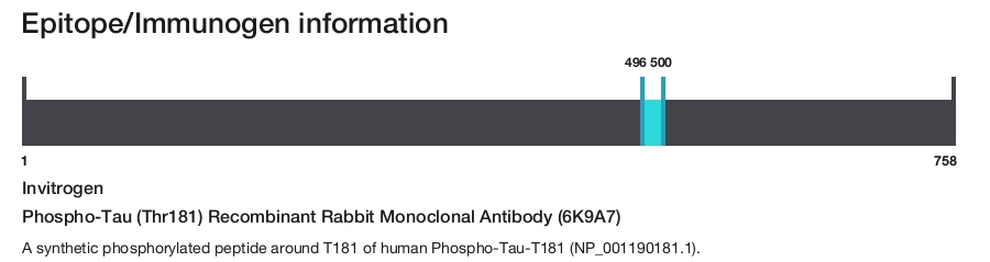Phospho-Tau (Thr181) Recombinant Rabbit Monoclonal Antibody (6K9A7)