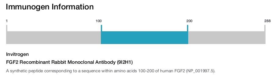 FGF2 Recombinant Rabbit Monoclonal Antibody (9I2H1)