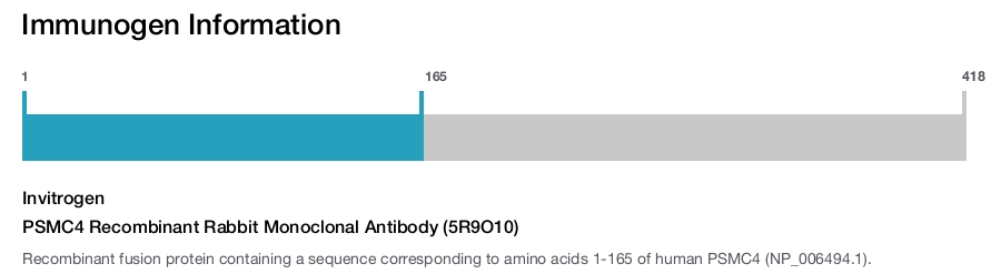 PSMC4 Recombinant Rabbit Monoclonal Antibody (5R9O10)