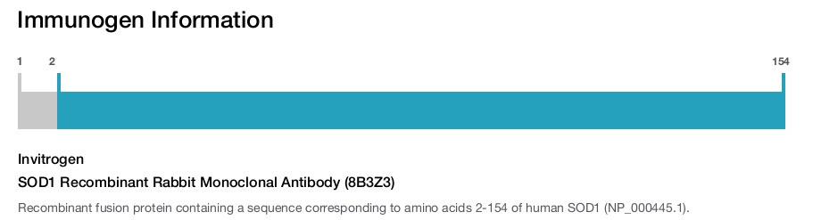 SOD1 Recombinant Rabbit Monoclonal Antibody (8B3Z3)