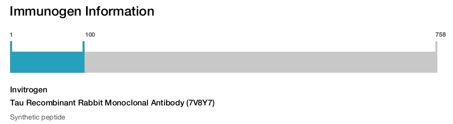 Tau Recombinant Rabbit Monoclonal Antibody (7V8Y7)