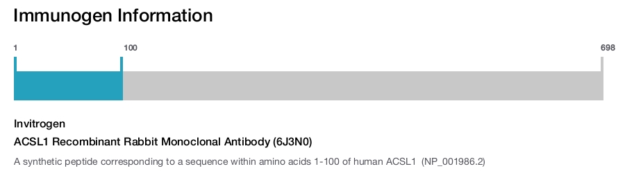 ACSL1 Recombinant Rabbit Monoclonal Antibody (6J3N0)