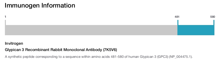 Glypican 3 Recombinant Rabbit Monoclonal Antibody (7K5V6)