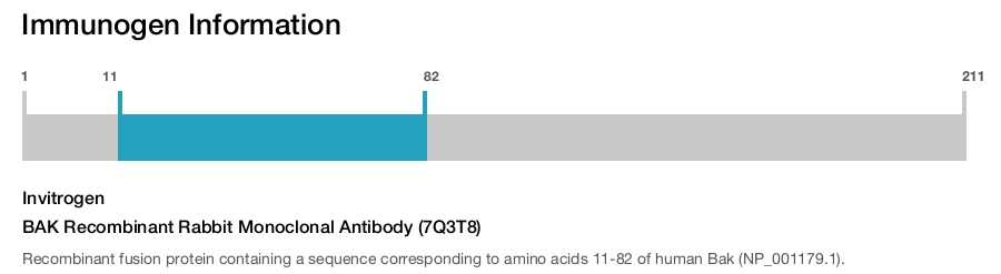 BAK Recombinant Rabbit Monoclonal Antibody (7Q3T8)
