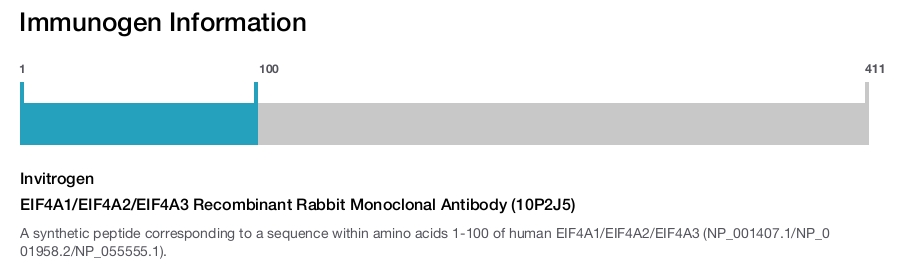 EIF4A1/EIF4A2/EIF4A3 Recombinant Rabbit Monoclonal Antibody (10P2J5)