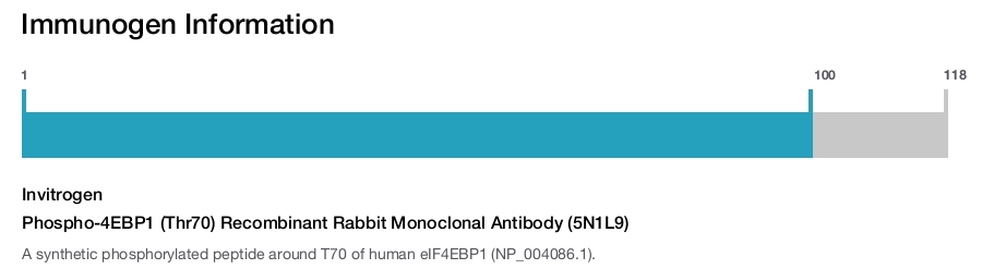 Phospho-4EBP1 (Thr70) Recombinant Rabbit Monoclonal Antibody (5N1L9)