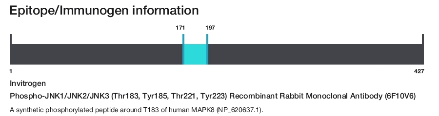 Phospho-JNK1/JNK2/JNK3 (Thr183, Tyr185, Thr221, Tyr223) Recombinant Rabbit Monoclonal Antibody (6F10V6)