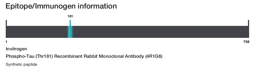 Phospho-Tau (Thr181) Recombinant Rabbit Monoclonal Antibody (4R1G6)