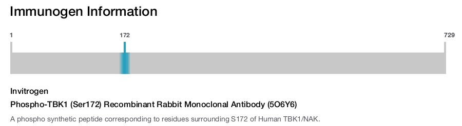 Phospho-TBK1 (Ser172) Recombinant Rabbit Monoclonal Antibody (5O6Y6)