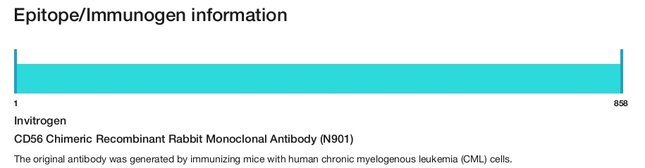 CD56 Chimeric Recombinant Rabbit Monoclonal Antibody (N901)