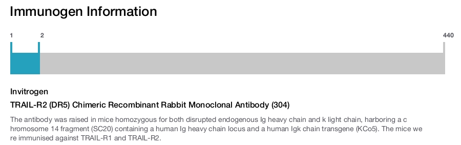 TRAIL-R2 (DR5) Chimeric Recombinant Rabbit Monoclonal Antibody (304)
