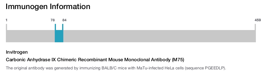 Carbonic Anhydrase IX Chimeric Recombinant Mouse Monoclonal Antibody (M75)