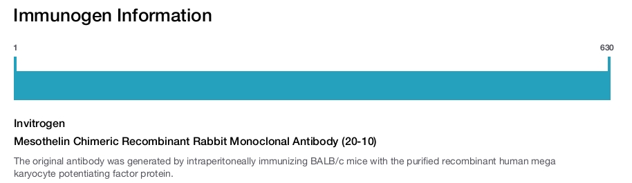 Mesothelin Chimeric Recombinant Rabbit Monoclonal Antibody (20-10)