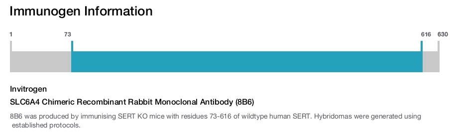 SLC6A4 Chimeric Recombinant Rabbit Monoclonal Antibody (8B6)