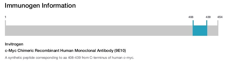 c-Myc Chimeric Recombinant Human Monoclonal Antibody (9E10)