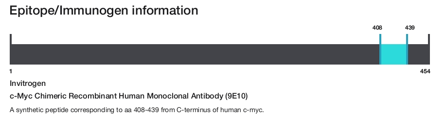 c-Myc Chimeric Recombinant Human Monoclonal Antibody (9E10)