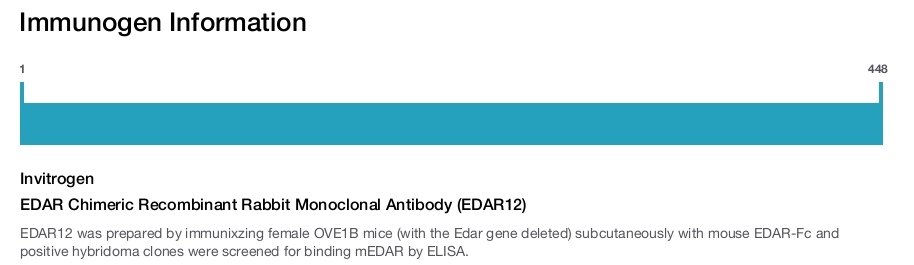 EDAR Chimeric Recombinant Rabbit Monoclonal Antibody (EDAR12)