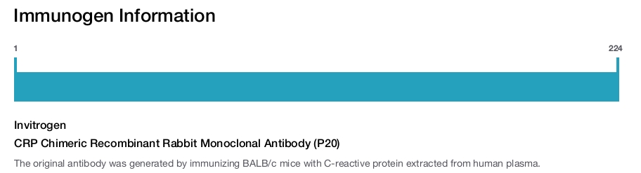 CRP Chimeric Recombinant Rabbit Monoclonal Antibody (P20)