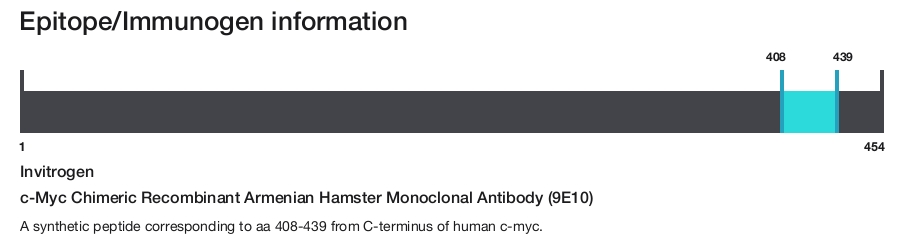 c-Myc Chimeric Recombinant Armenian Hamster Monoclonal Antibody (9E10)