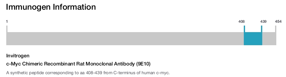 c-Myc Chimeric Recombinant Rat Monoclonal Antibody (9E10)