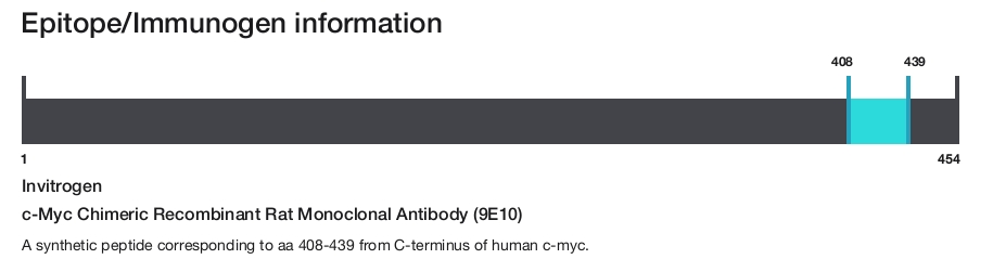 c-Myc Chimeric Recombinant Rat Monoclonal Antibody (9E10)