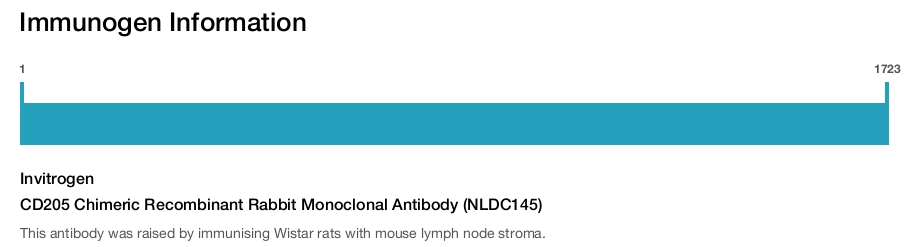 CD205 Chimeric Recombinant Rabbit Monoclonal Antibody (NLDC145)