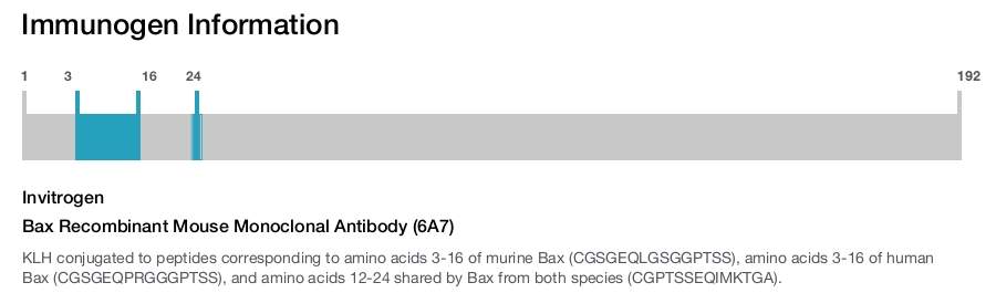Bax Recombinant Mouse Monoclonal Antibody (6A7)
