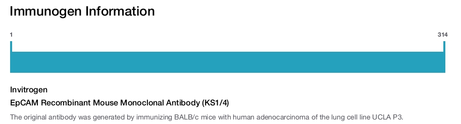EpCAM Recombinant Mouse Monoclonal Antibody (KS1/4)